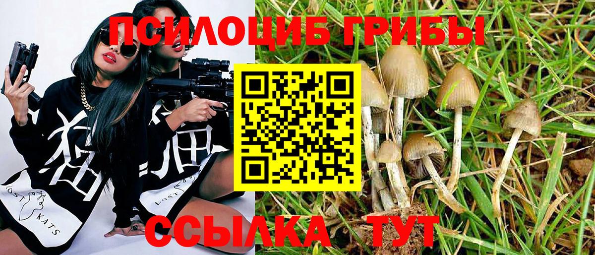 Галлюциногенные грибы Cubensis Нижний Тагил